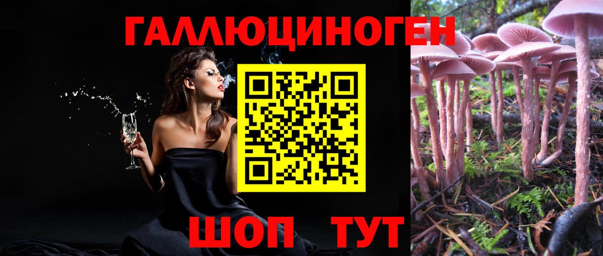 Галлюциногенные грибы мухоморы Азнакаево