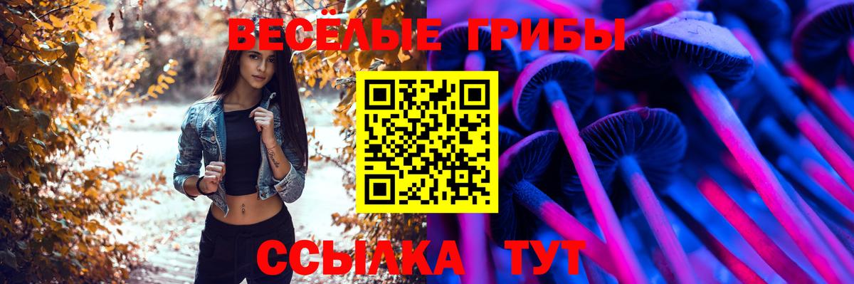 Азнакаево  Псилоцибиновые грибы Cubensis  Вход с VPN 