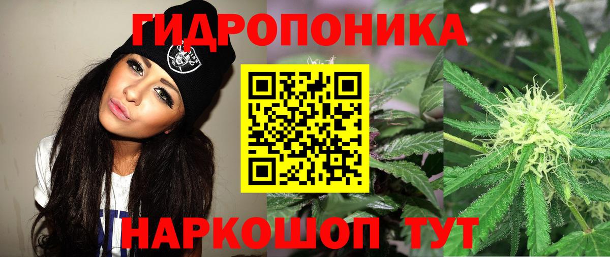 Бошки марихуана план Азнакаево
